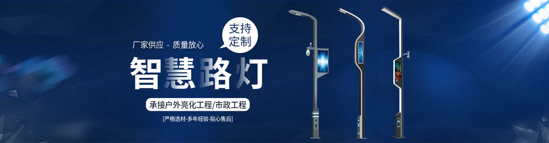 普定县太阳能路灯定制厂家